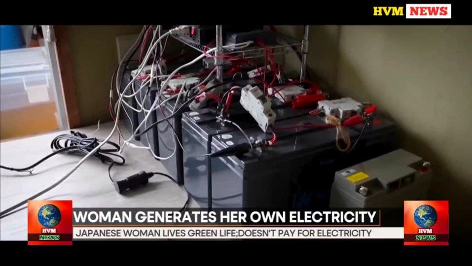 JAPAN WOMEN SELF ELECTRICITY