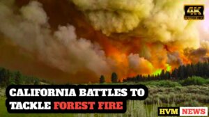 CALIFORNIA BATTLES TO TACKLE FOREST FIRE