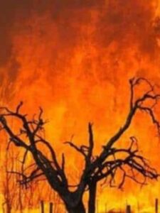 Wildfire continues on Mount Kilimanjaro