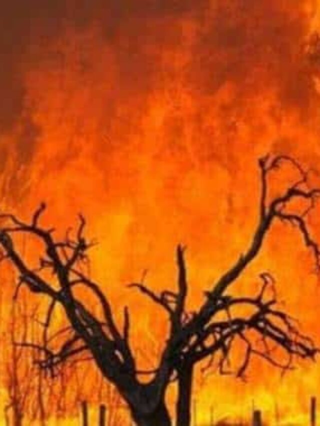 Wildfire continues on Mount Kilimanjaro