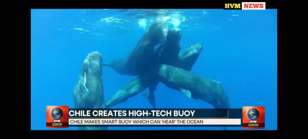 CHILE CREATES HIGH-TECH BUOY