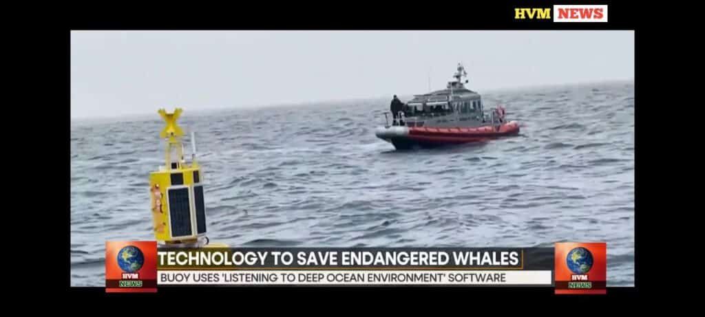 TECHNOLOGY TO SAVE ENDANGERED WHALES