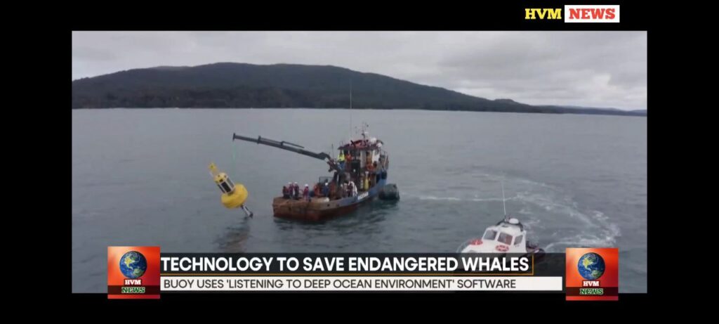 TECHNOLOGY TO SAVE ENDANGERED WHALES