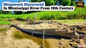 Shipwreck Discovered In Mississippi River From 19th Century