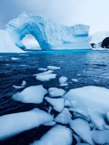 Climate Change Takes A Toll