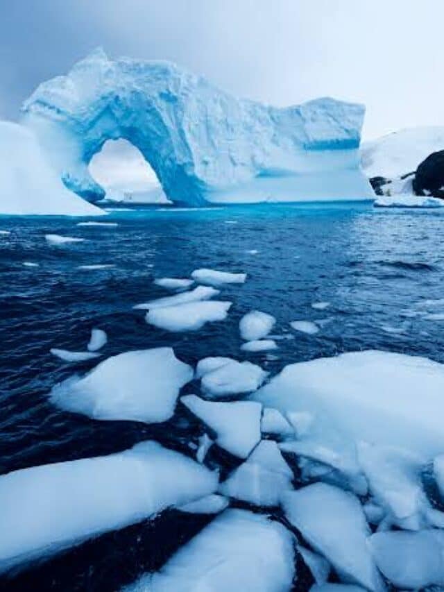 Climate Change Takes A Toll