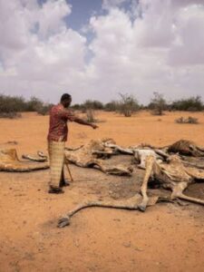 Climate Change - Kenya Battling 4 Year Old Draught