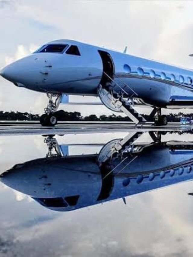 COP27 | World delegates travel in private jet |