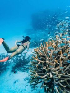 Australia Great Barrier Reef