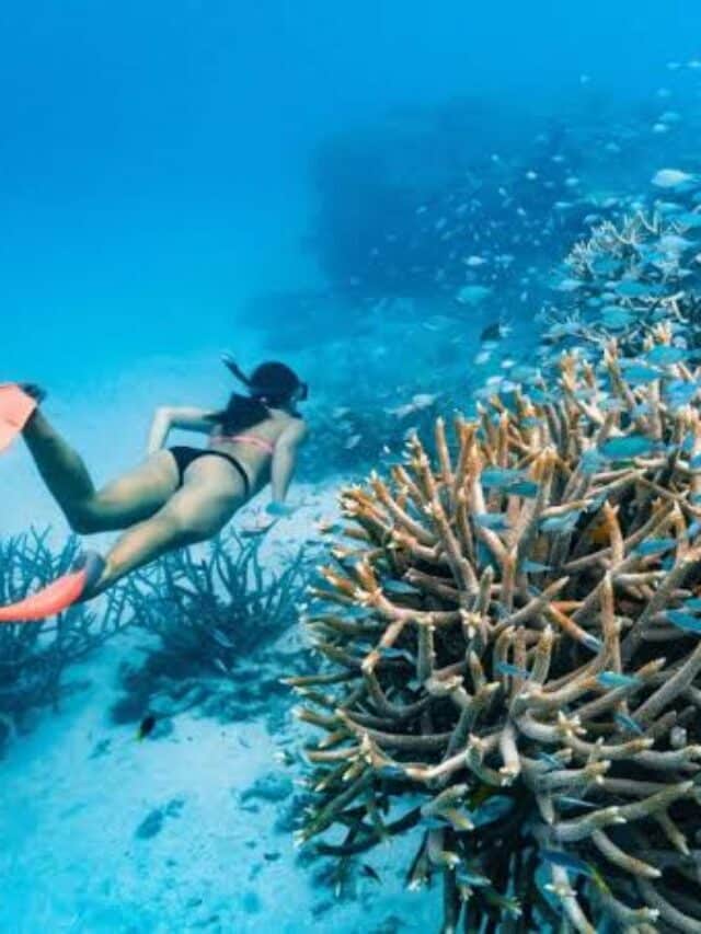 Climate Change | Australia Great Barrier Reef