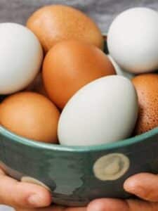 Eggs can remove salt & microplastics