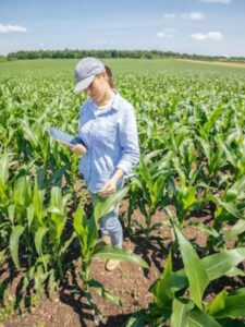 US farmers practice regenerative agriculture