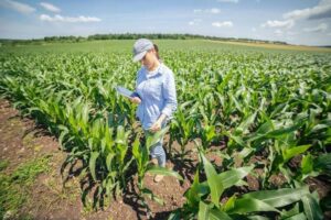 US farmers practice regenerative agriculture