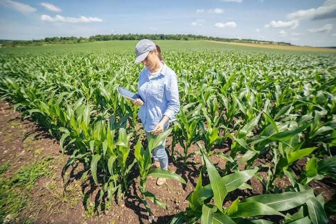 US farmers practice regenerative agriculture