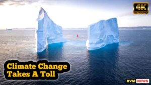 so that's about a mission far away from our planet. what about the mission to save our planet. are we taking the fight against climate change seriously at all. well a new report has emerged , it has another warning and this one more serious than the last one . climate change is taking a toll on our planet and some of the most famous glaciers are bearing the brunt. they could soon disappear and time is running out to act. these are some of the world's most famous glaciers in the dolomites in Italy, the Yosemite and Yellowstone parks in the United States. and Mount Kilimanjaro in Tanzania, come 2050 these glaciers could disappear. thanks to global warming , that is even if emissions are curbed and regardless of the temperature rise scenario. this is according to a UNESCO report. which serves as the most serious warning in recent times of the impact of climate change. which continues to make its prisons felt across the world. Glaciers are one of the most valuable and visible indicators of climate change. according to the UN body since 2000 , the glaciers have been retreating at an accelerated rate ,and this is all due to carbon dioxide emissions . which is causing the warming up of our planet. world heritage glaciers represented about 10 percent of the world's Glacier areas . they include some of the world's best known glaciers and their loss is highly visible as they are focal points for Global tourism. every year world heritage Glaciers are losing 58 billion tons of ice . this represents the water consumed over a year in France in Spain combined, and I would say that this is a particularly a warning in alarming. because the risks that are implied by this are manifold . this could lead to Coastal erosion for instance, but also a high risk of cyclones storms and tsunamis. the United Nations cultural agency UNESCO monitors some 18 600 glaciers across 50 of its world heritage sites. it says that a third of those are said to Disappear by 2050. what about the rest well there is hope given that, we act they can be saved by keeping the global temperature rise below 1.5 degrees Celsius relative to pre-industrial levels. what happens also is that even if we stop emissions as of today, these glaciers have inertia, you know in the sense that changes will keep happening and we will definitely need measures at site level to adapt to these changes. the clock is ticking as world leaders are set to gather in Egypt for the UN cop 27 climate Summit. they have a choice to make to walk the talk and act or make more pledges and fail to deliver with our planet's future at stake.