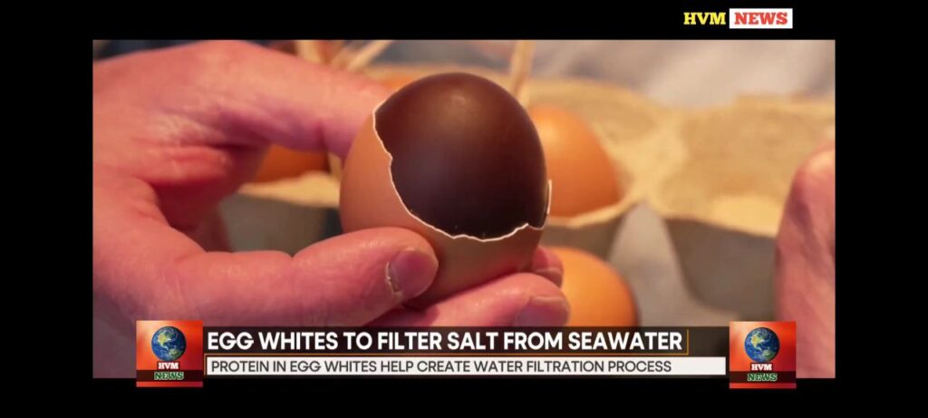 EGG WHITES TO FILTER SALT FROM SEAWATER