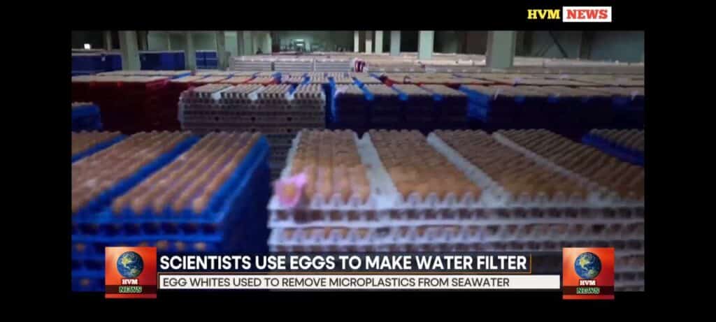 SCIENTISTS USE EGGS TO MAKE WATER FILTER