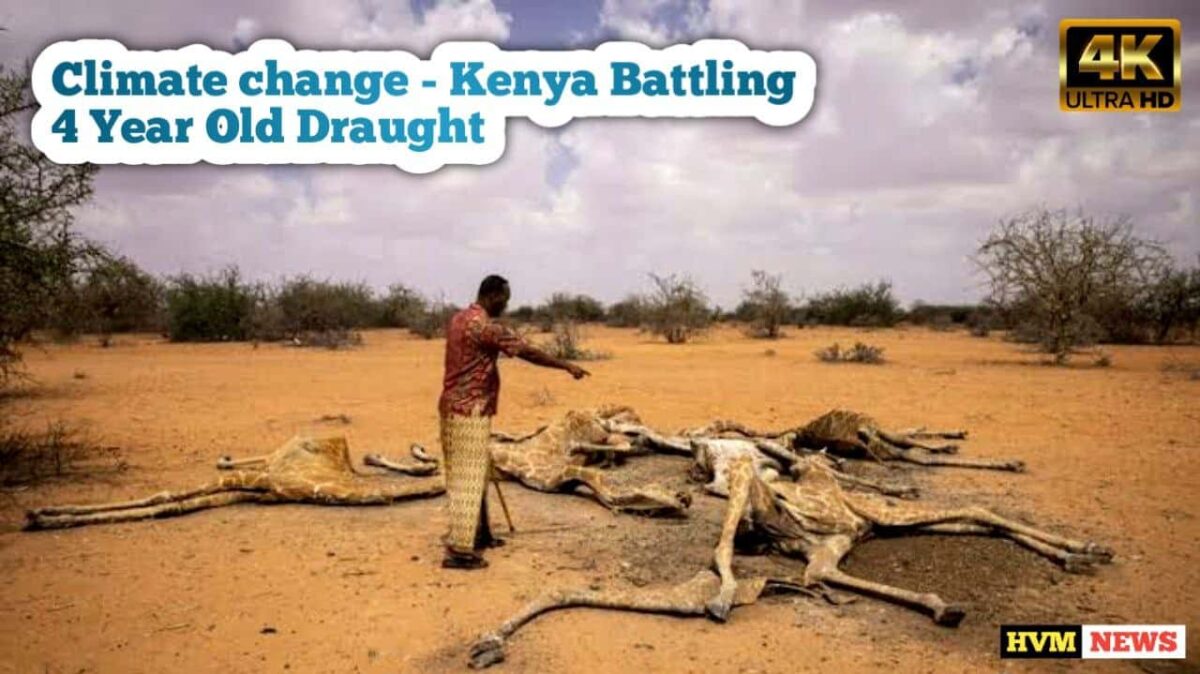 Climate Change - Kenya Battling 4 Year Old Draught