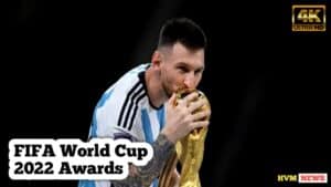 Fifa World Cup awards