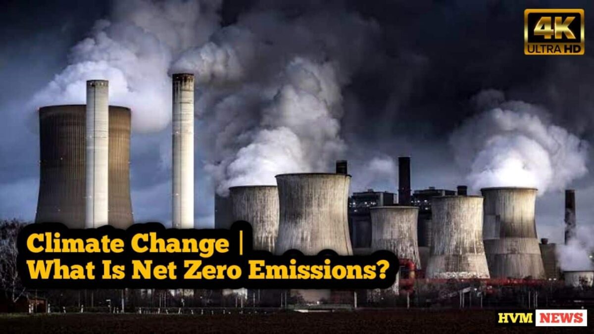 Net Zero Emissions