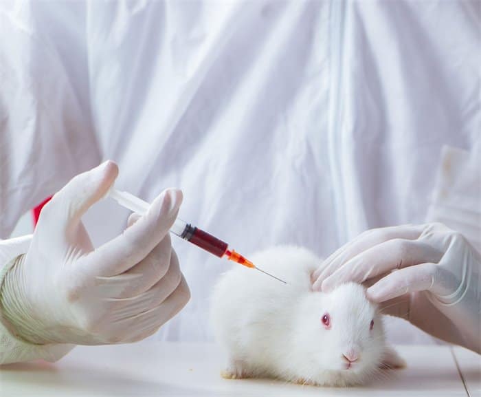 More than 35 cosmetics companies band together to oppose animal testing worldwide.