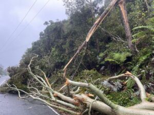 New Zealand Declares State Of Emergency