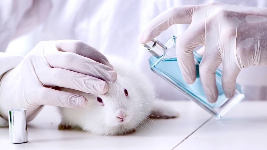 More than 35 cosmetics companies band together to oppose animal testing worldwide.