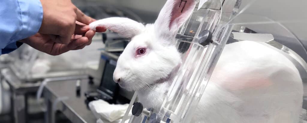 More than 35 cosmetics companies band together to oppose animal testing worldwide.