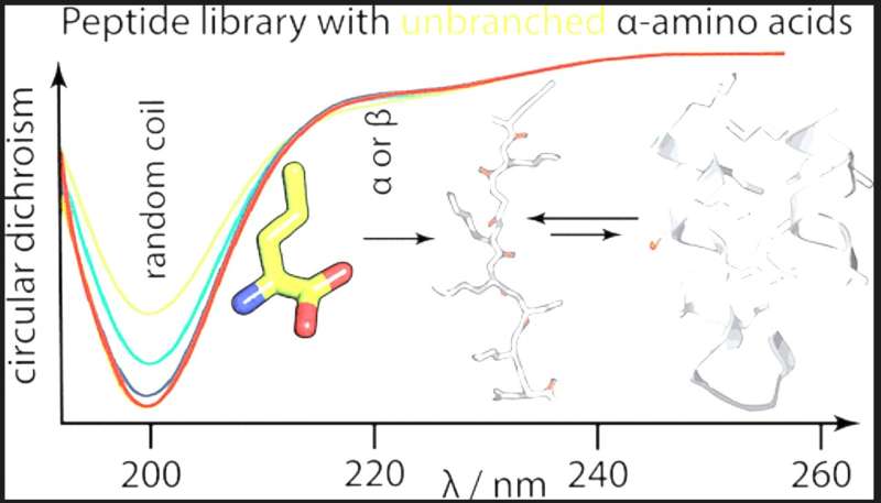 New Information Sheds Light On The Unusual Evolution Of Proteins