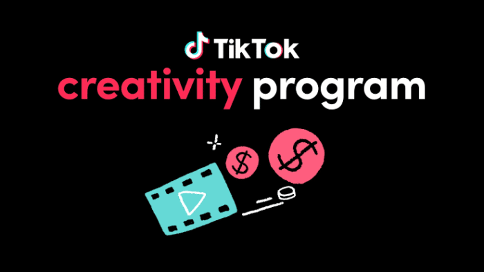 Beta of TikTok's Newest Monetization Method: The Creativity Program