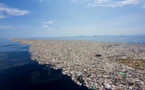 The Great Pacific Garbage Patch