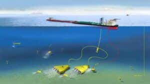 Irreversible Damages From Sea Mining