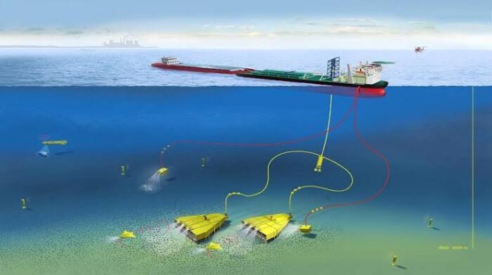Irreversible Damages From Sea Mining