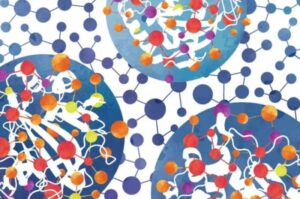 New Information Sheds Light On The Unusual Evolution Of Proteins