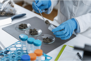 Clinical Mass Spectrometry Market: Best Productivity, Development by 2030 | Bruker Corporation, Kore Technology Limited