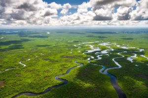 Climate Crisis Threatens Everglades