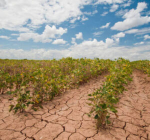 Flash droughts besieging the Planet