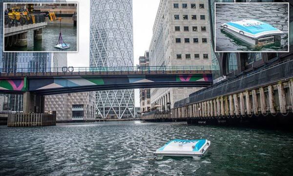 Wasteshark cleans London's Thames river